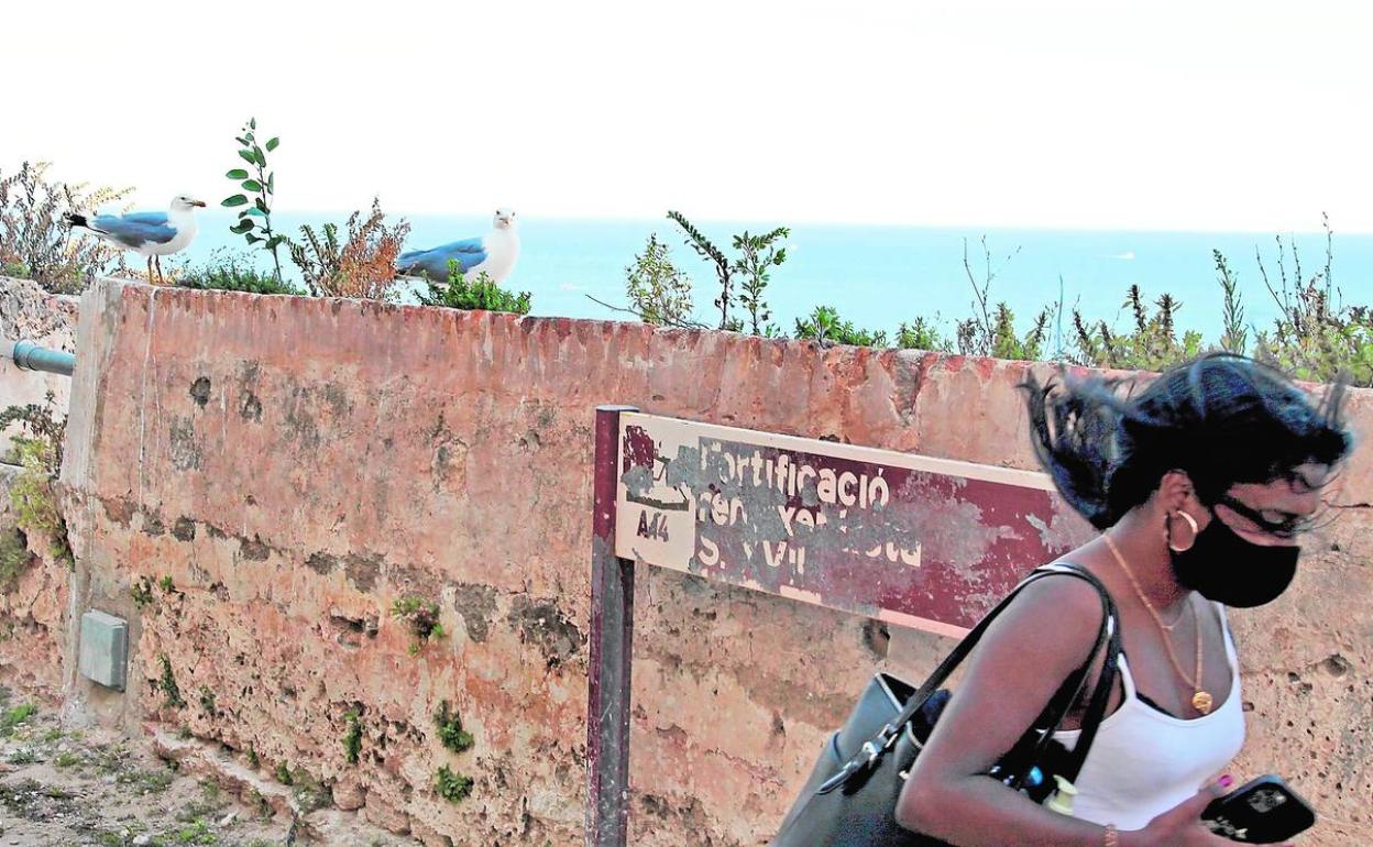 Una turista, de visita en el Castell de Dénia tomado por las gaviotas desde hace años.