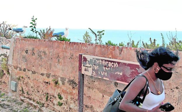 Ataques de gaviotas desde el campanario de Tavernes Blanques