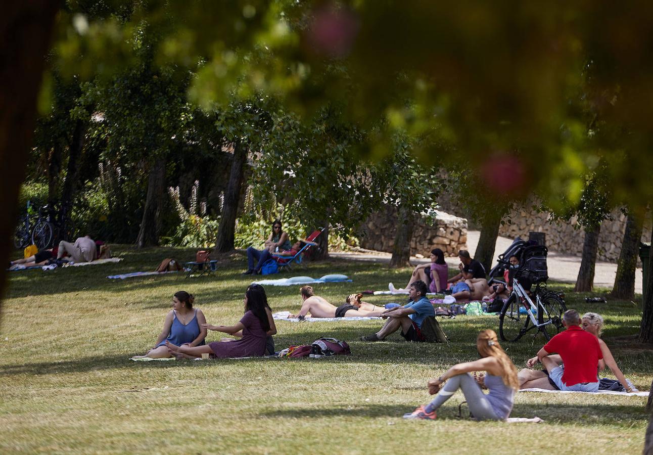 Picnics en el Jardín del Turia