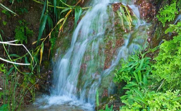 Fuentes del Algar. 