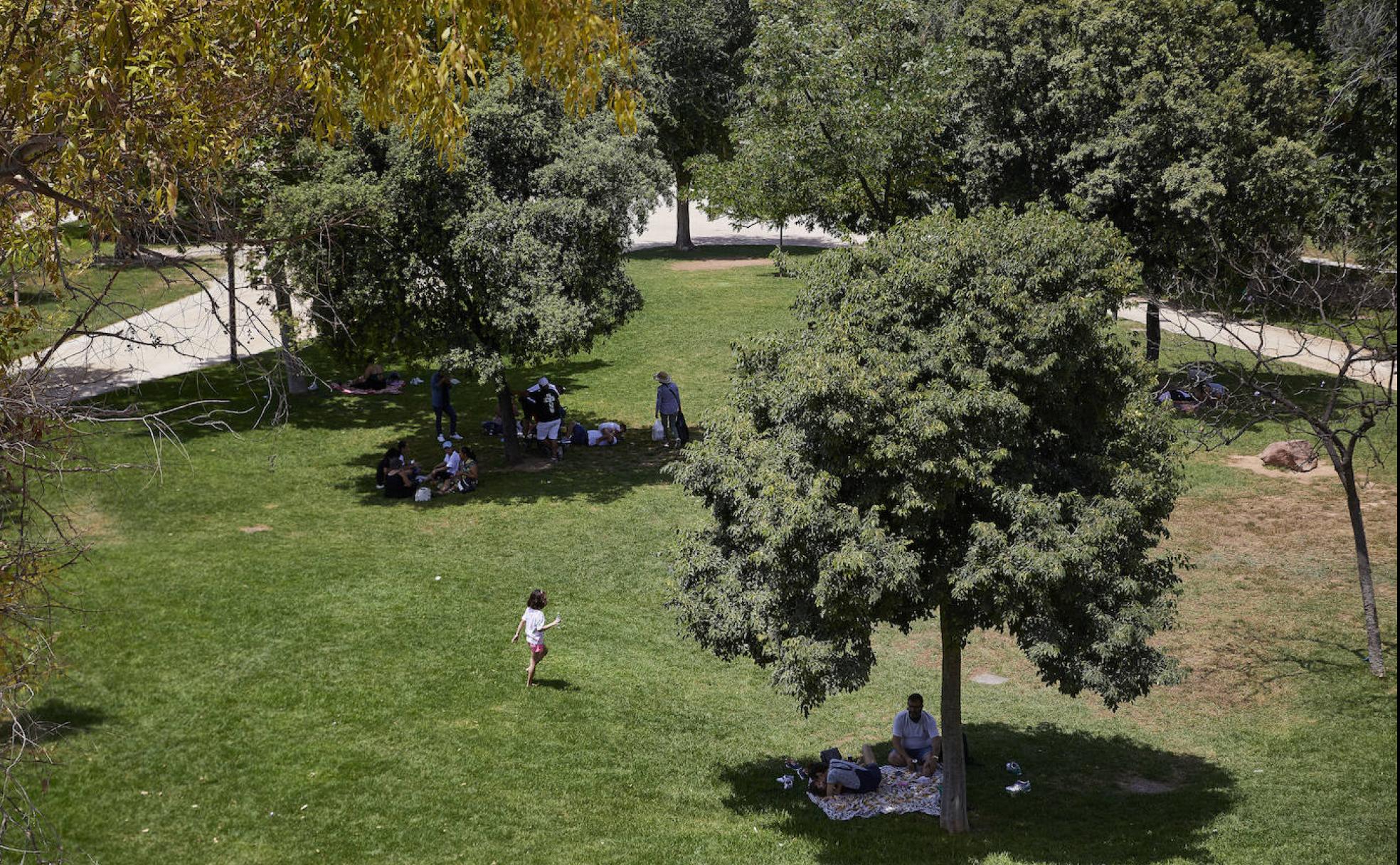 Pícnics en la zona del Jardín del Turia 