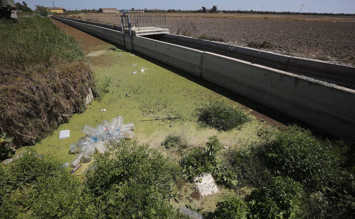 Una de las acequias de la Albufera, en una imagen reciente. 