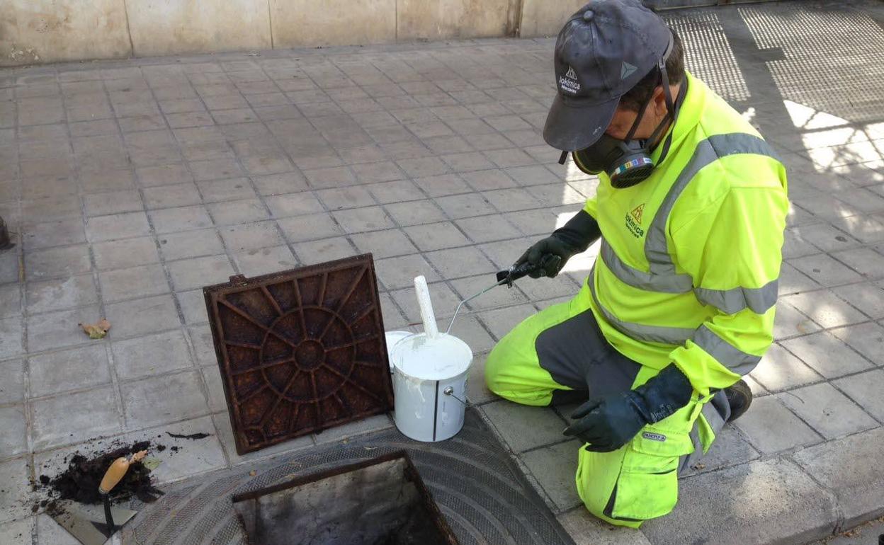 Un operario de Lokímica, contrata municipal, deposita veneno contra plagas en una alcantarilla de Valencia. 