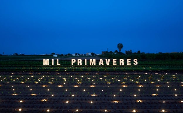 Imagen principal - El cartel iluminado de la campaña, sobre la huerta, y Toni Montoliu dirige la visita a los campos y al museo. 