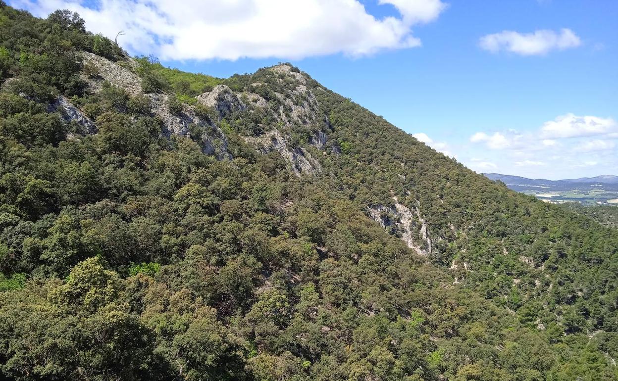 Vistas del Parque Natural de la Font Roja de Alcoy. 