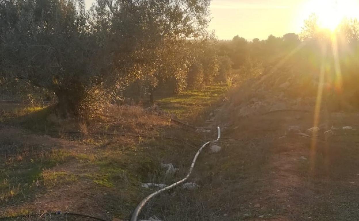 Los terrenos interesados para instalar la planta solar parece ser que están sobre aguas subterráneas. 