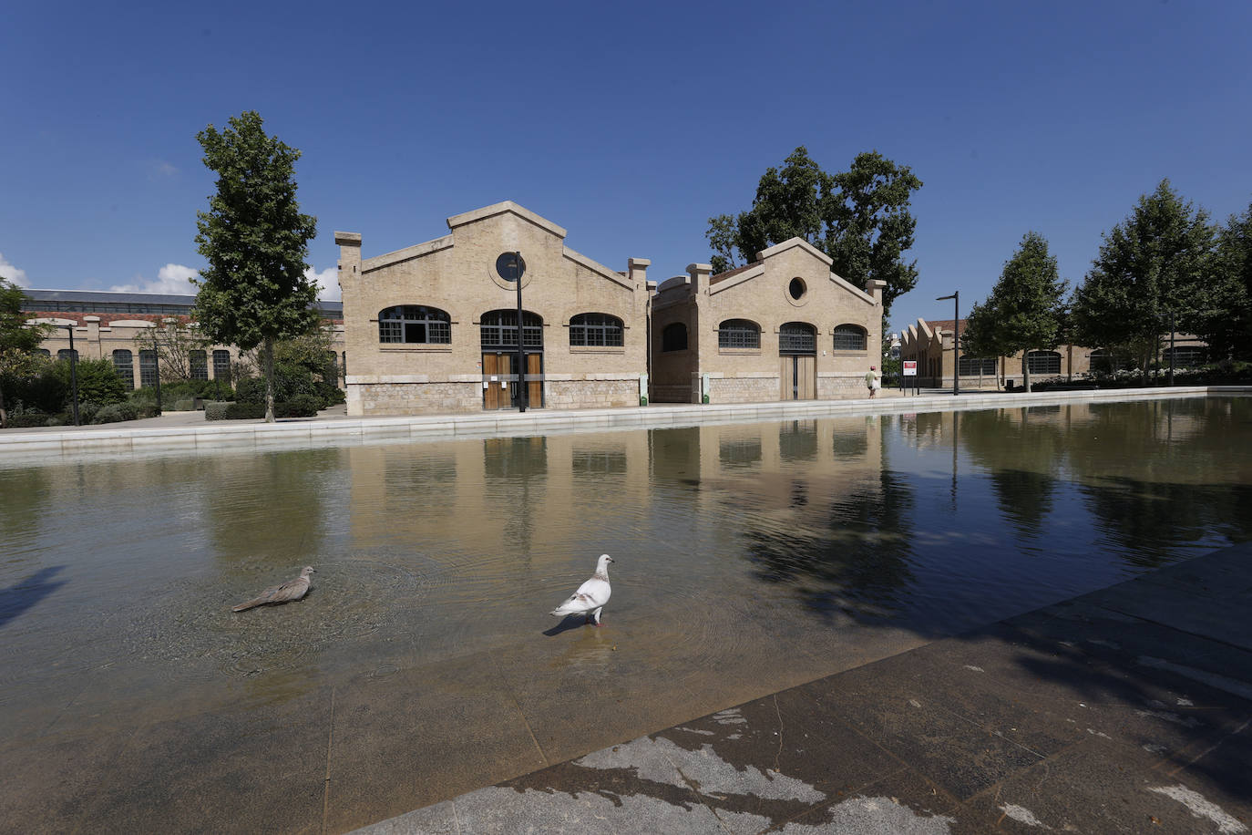 Fotos: Obras en el Parque Central de Valencia