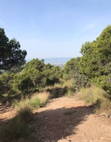 Imagen secundaria 2 - Dónde salir a correr trail por la Sierra Calderona | Un esprint trail en un asentamiento íbero