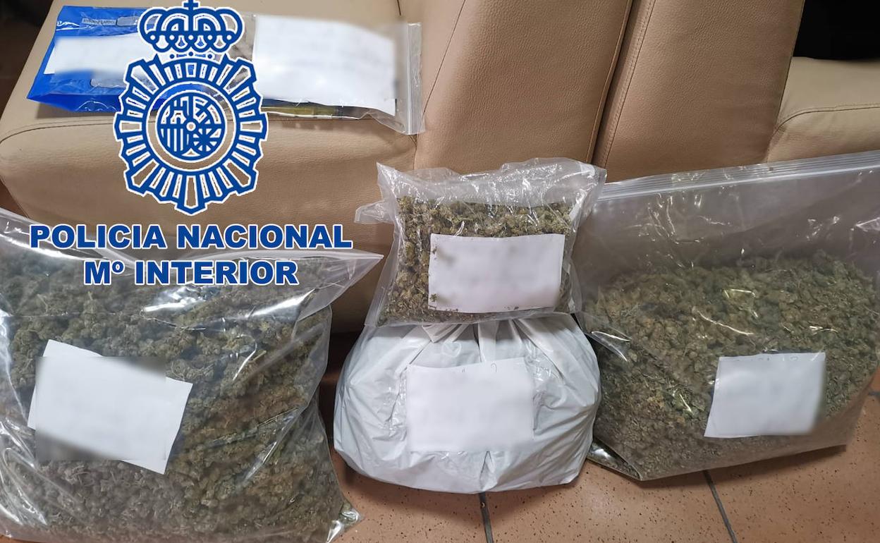 Las sustancias estupefacientes incautadas en el registro de la asociación cannábica de Dénia. 