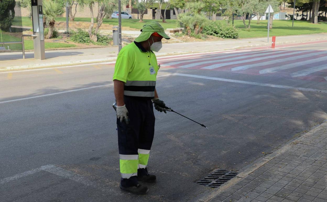 Torrent intensifica el control contra mosquitos, cucarachas y roedores