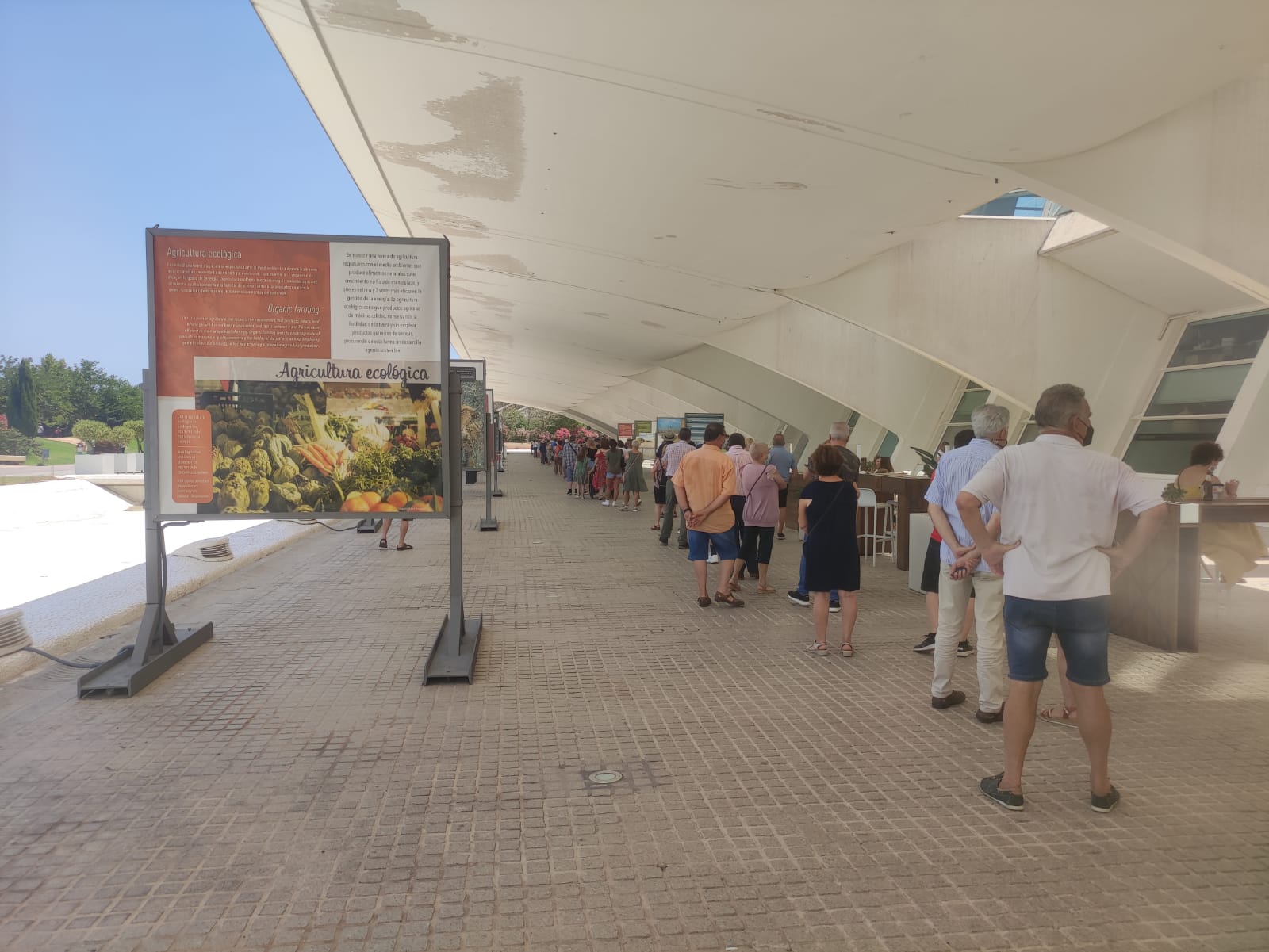 Colas para vacunarse en Valencia este sábado 3 de julio. 