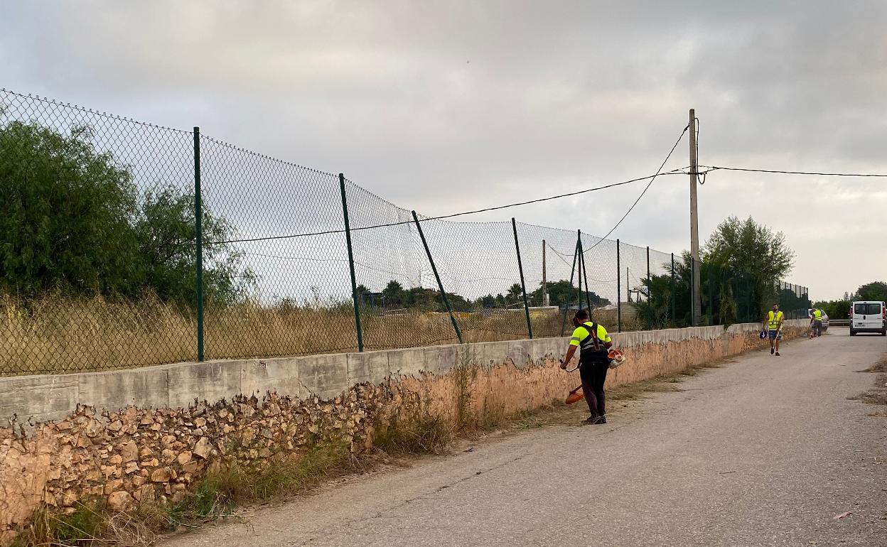 Empleados realizando tareas en un camino rural de Carcaixent. 