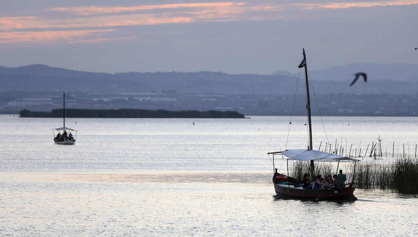 La Albufera de Valencia conmemora la aprobación de su declaración como parque natural con los vertidos y la falta de agua como principales problemas. 