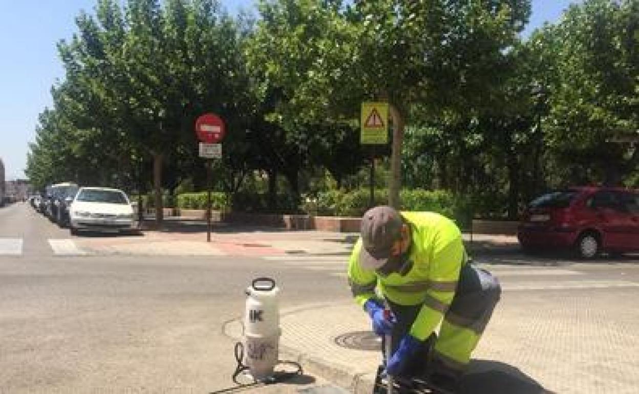 Trabajos en el alcantarillado de Alzira. 