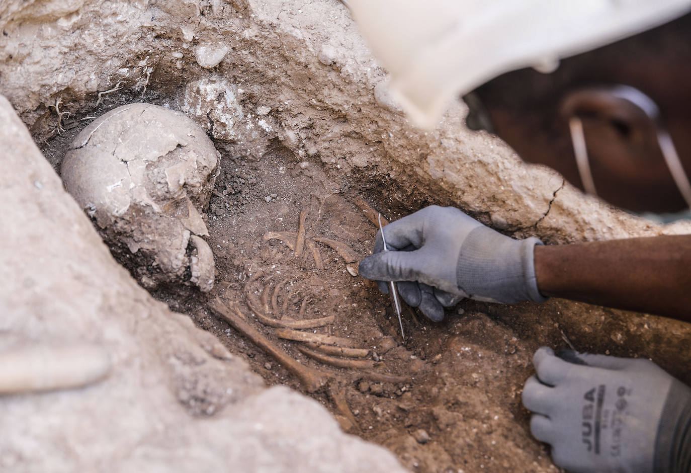 Restos humanos, en concreto de niños, han aparecido entre la muralla islámica de Valencia y la barbacana durante los trabajos de rehabilitación de la fortaleza. Estos hallazgos han sido inesperados; según apuntan los arqueólogos serían del siglo XIII y que corresponderían a la población musulmana. 