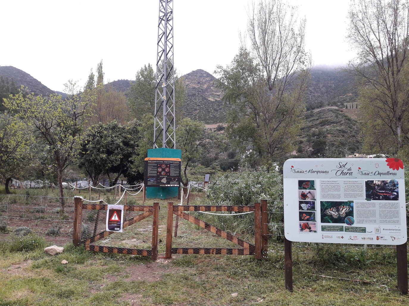 Dentro del parque natural de Chera-Sot de Chera se encuentra el oasis de la mariposas, un entono donde estos insectos pueden alimentarse y residir. El objetivo de este proyecto, iniciado junto a la Asociación Zerynthia, es proteger especies amenazadas de mariposas y escarabajos