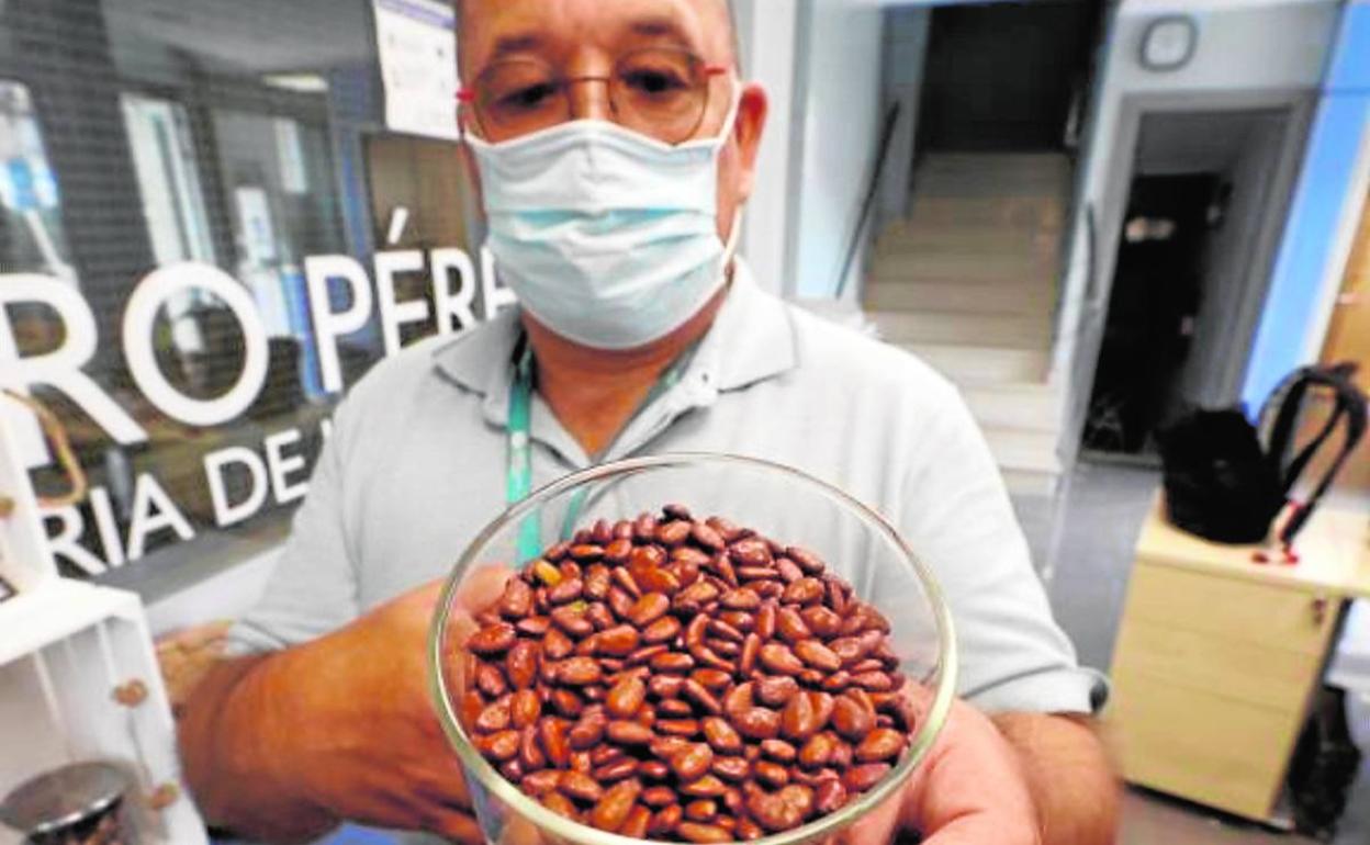 Garrofín. Enrique Pérez, en su fábrica de Bugarra, con una muestra de semillas de algarroba, de la que obtiene desde hace décadas un aditivo natural empleado como espesante y gelificante muy apreciado en la industria agroalimentaria mundial.