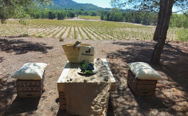 Almuerzo entre viñedos en Finca Collado. 