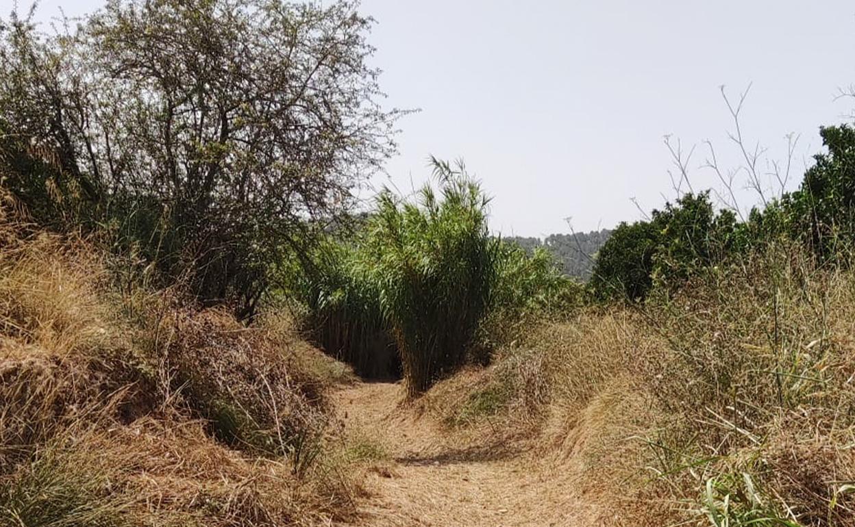 Trabajos de mejora y adecuación agraria. 