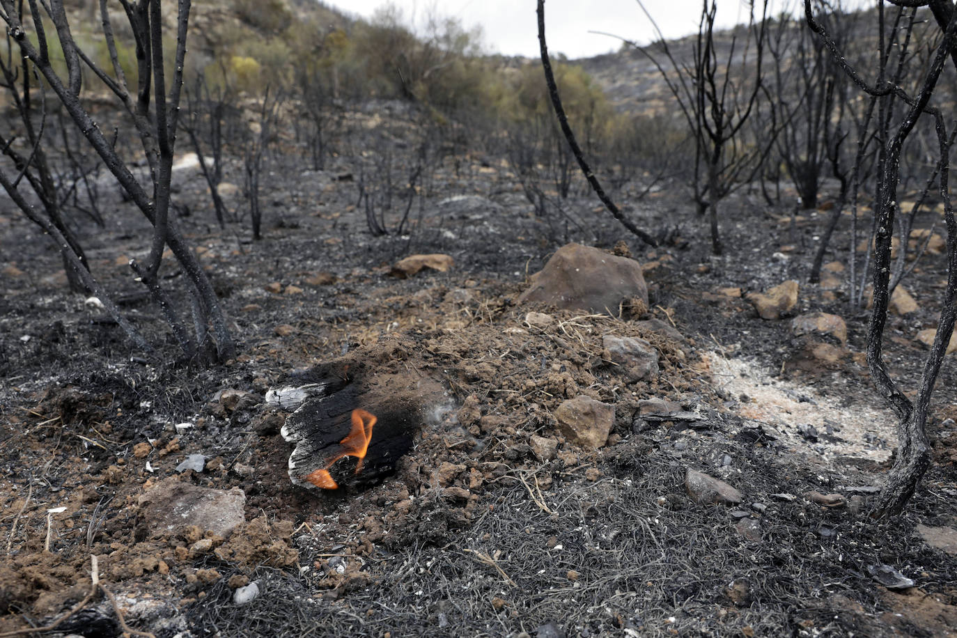 Incendio en Rafelguaraf (agosto 2021). 