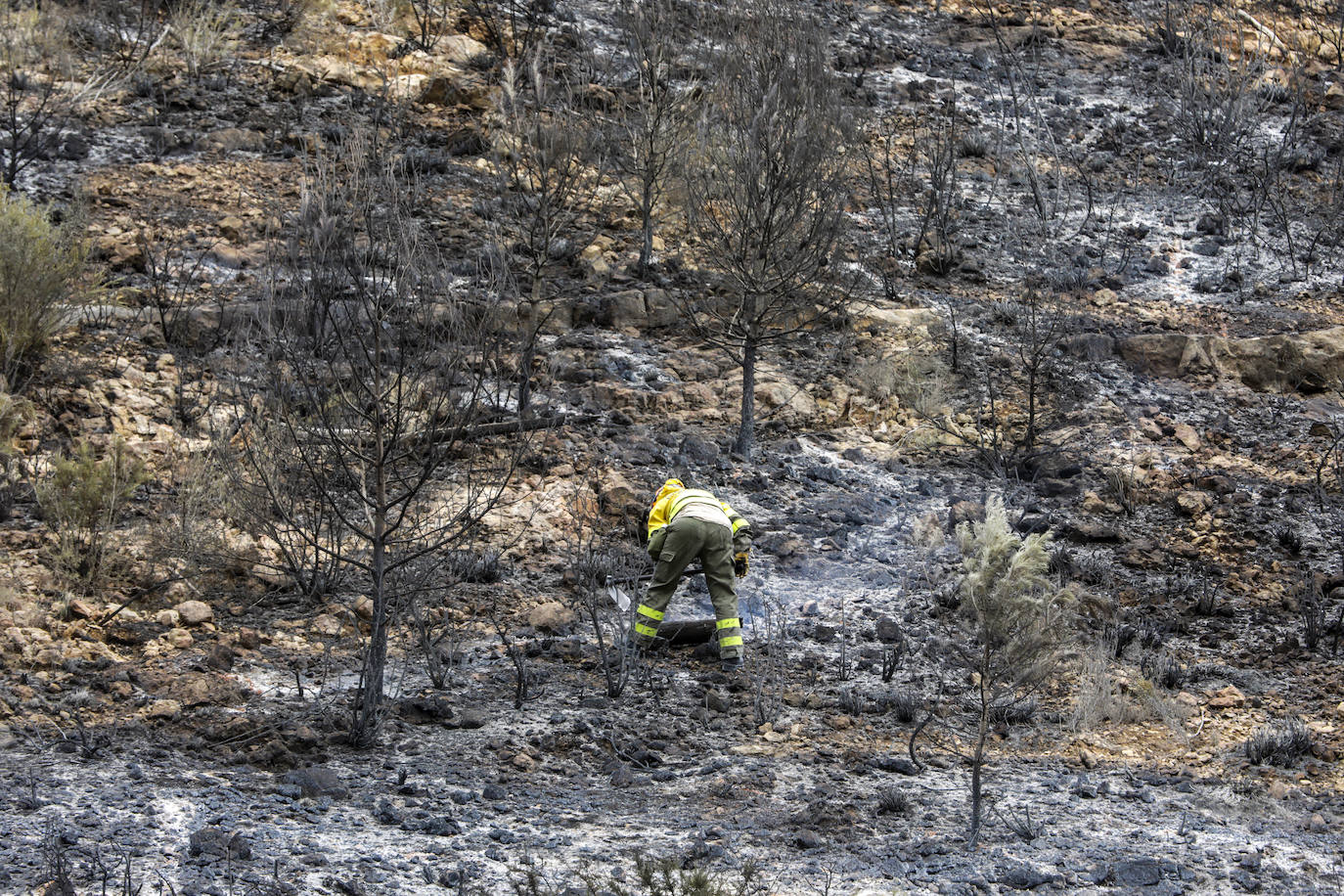 Incendio en Rafelguaraf (agosto 2021). 