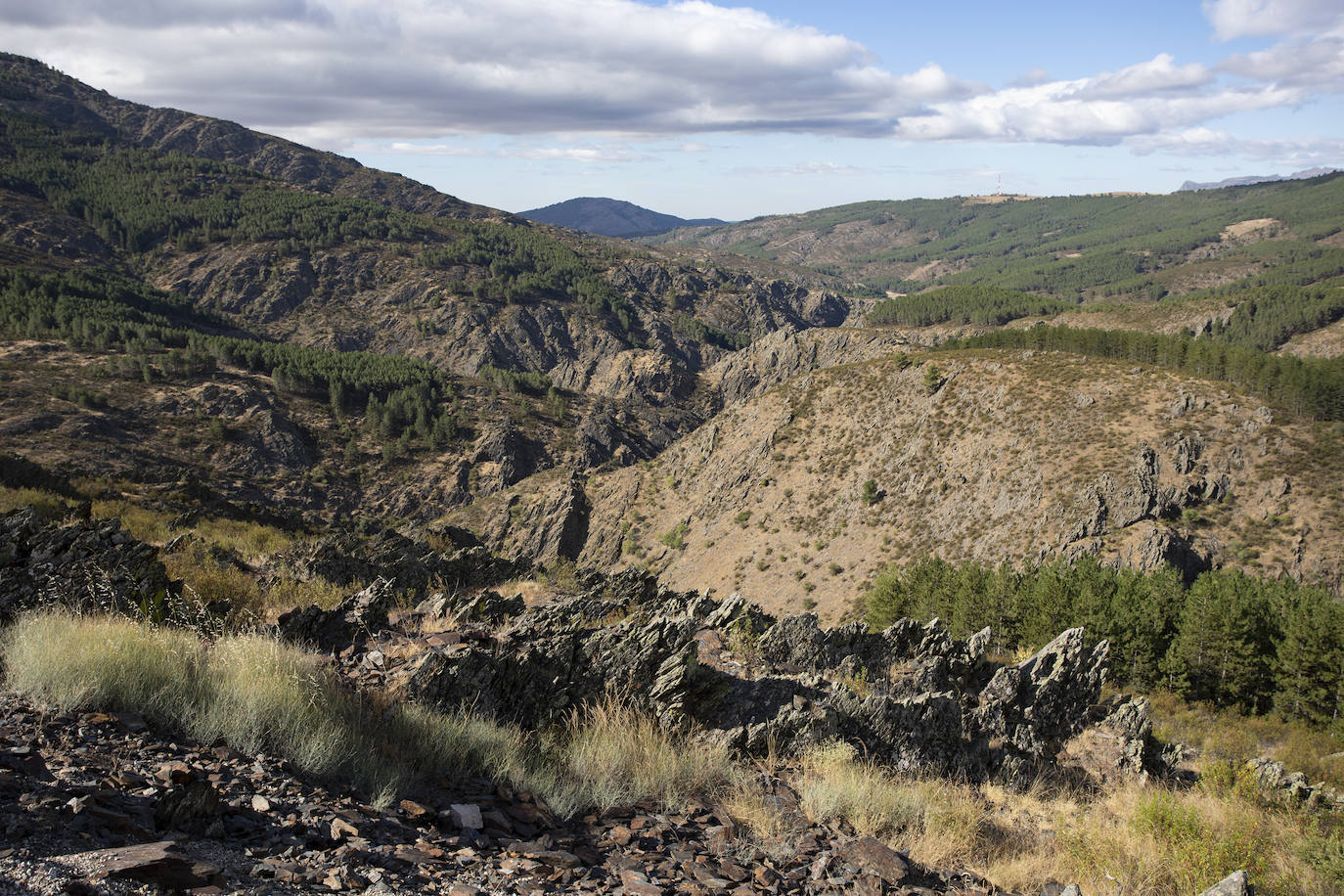 El municipio de Puebla de la Sierra se encuentra dentro de la Sierra del Rincón, catalogada por la UNESCO como Reserva de la Biosfera. El paisaje está dominado por masas boscosas con grandes extensiones de pinares y robledales autóctonos. Además, la riqueza zoológica es considerable. Los orígenes de Puebla de la Sierra comienzan en el siglo XII a raíz de la construcción de varios asentamientos. Tras la Reconquista, la zona se repobló y se erigieron en ella edificios de piedra oscura con detalles de madera, de los cuales permanecen algunos.