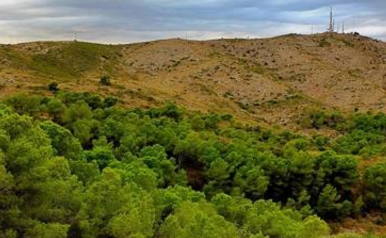 La Serra Perenxisa de Torrent. 