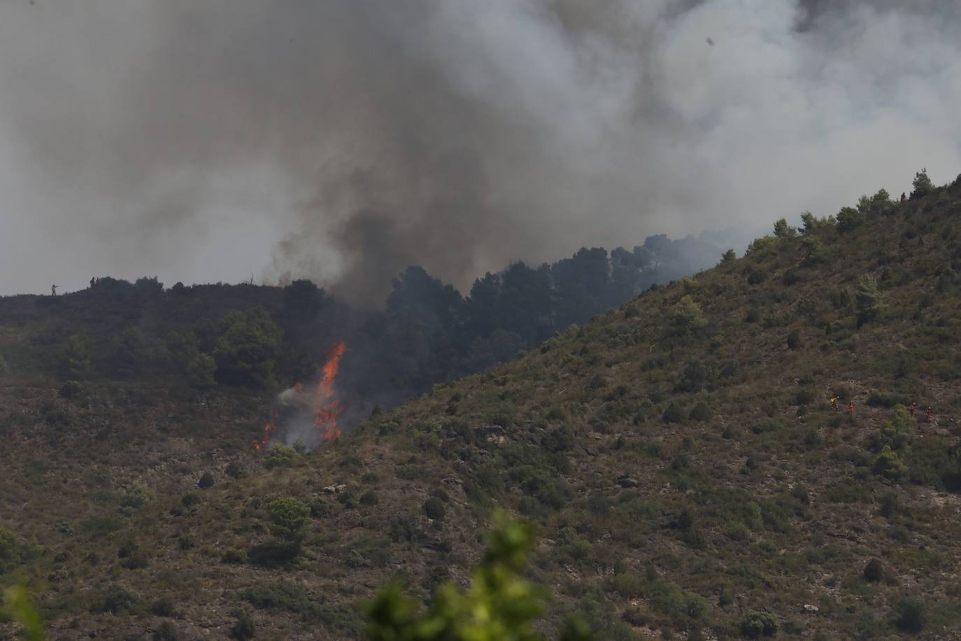 Un incendio afecta a la localidad castellonense de Azuébar desde última hora de la tare del sábado. Los efectivos trabajan para sofocar las llamas y los vecinos del municipio han sido desalojados por precaución.