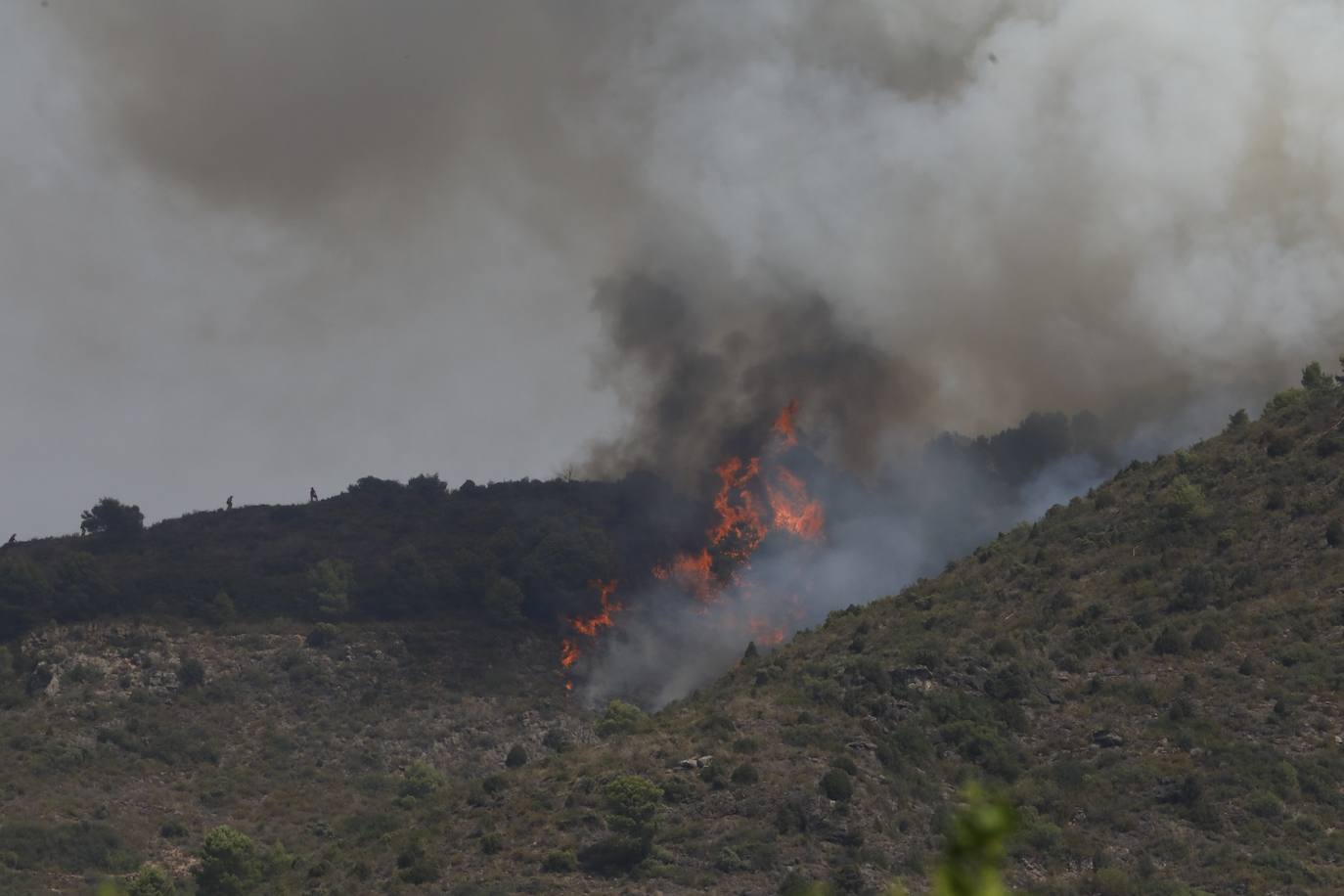 Un incendio afecta a la localidad castellonense de Azuébar desde última hora de la tare del sábado. Los efectivos trabajan para sofocar las llamas y los vecinos del municipio han sido desalojados por precaución.