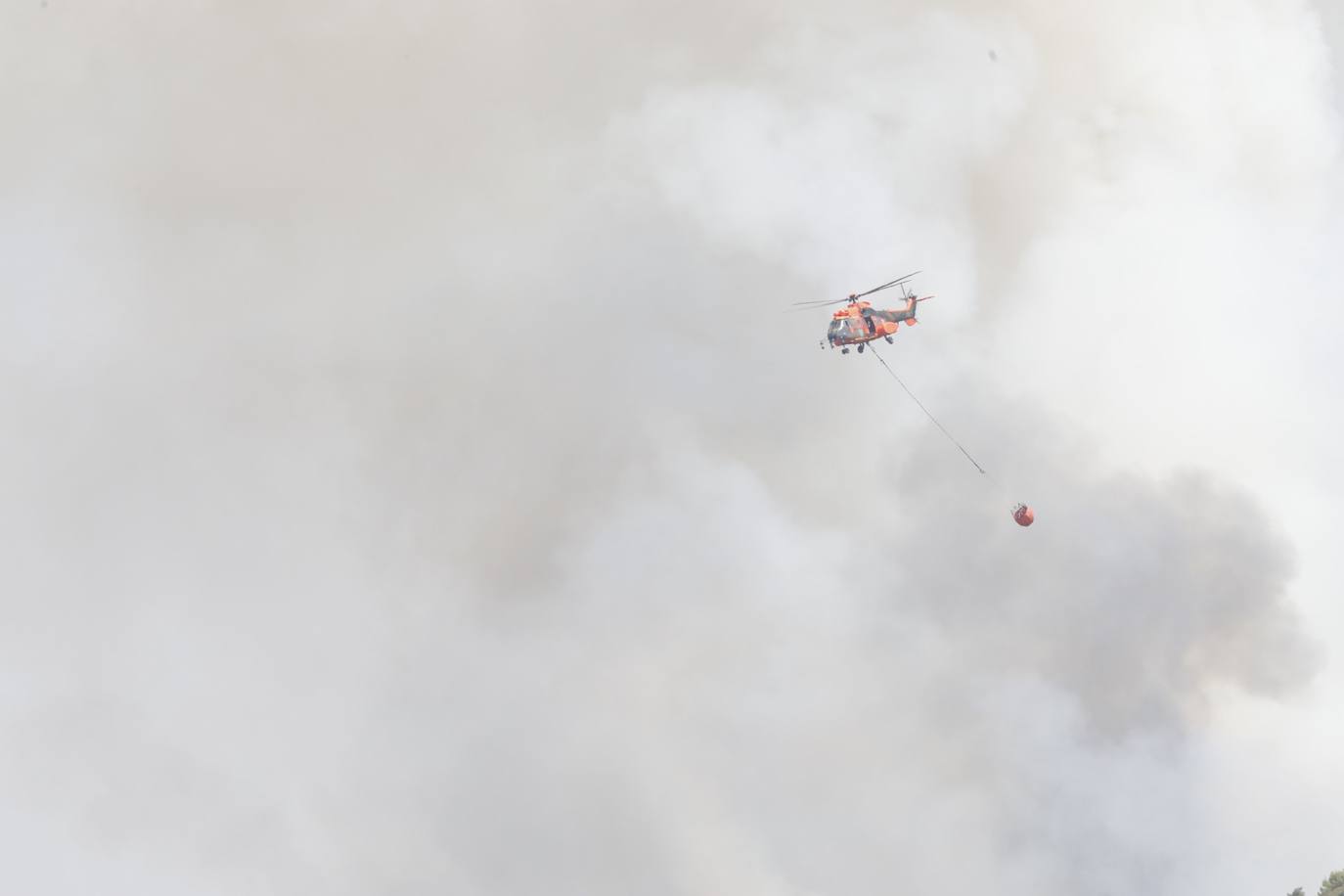 Un incendio afecta a la localidad castellonense de Azuébar desde última hora de la tare del sábado. Los efectivos trabajan para sofocar las llamas y los vecinos del municipio han sido desalojados por precaución.