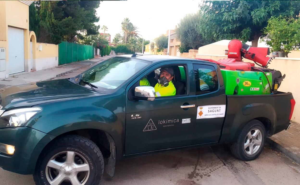 Trabajadores que actúan contra la plaga de ácaros. 