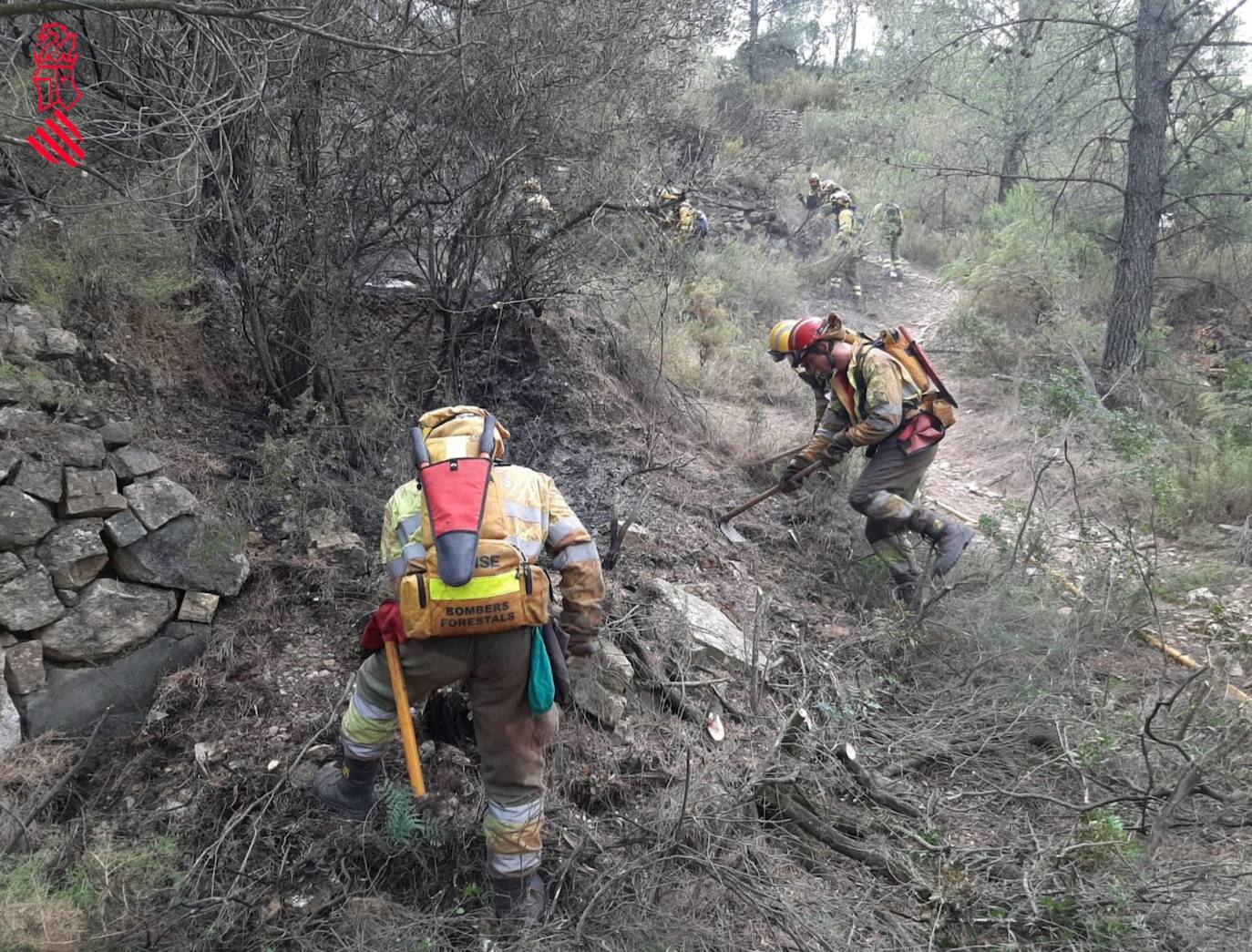 Un incendio afecta a la localidad castellonense de Azuébar desde última hora de la tare del sábado. Los efectivos trabajan para sofocar las llamas y los vecinos del municipio han sido desalojados por precaución.