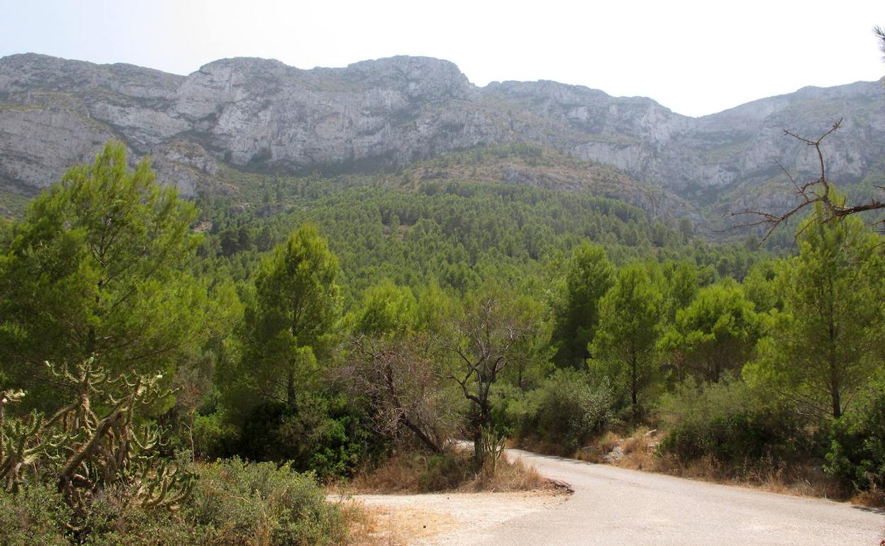 Una de las sendas del parque natural del Montgó. 