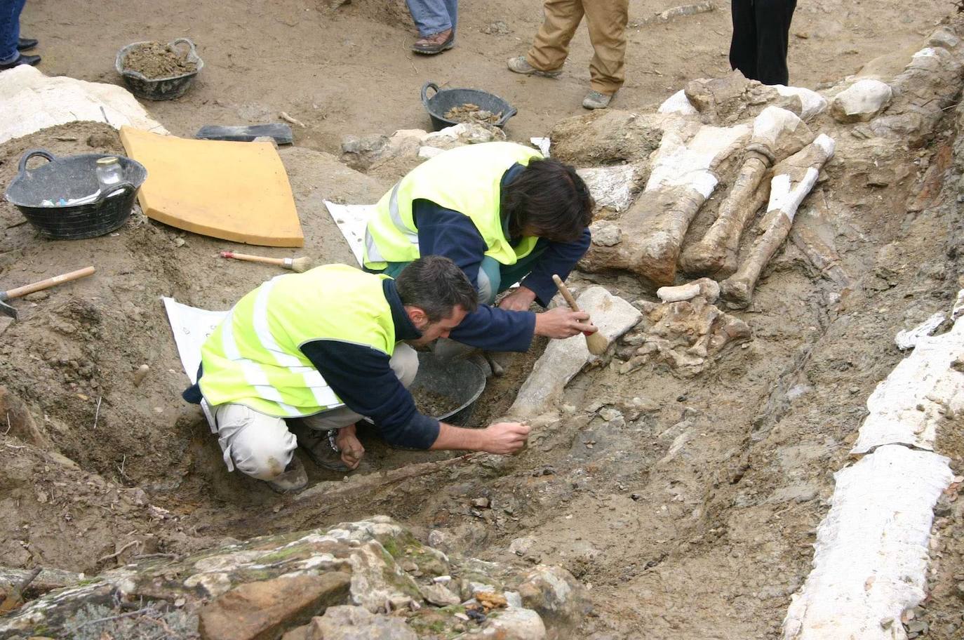 MORELLA - CASTELLÓN . Al igual que en Cinctorres, en Morella la especie más hallada es el Iguanodón. Entre los elementos que se han encontrado también se puede señalar la presencia de terópodos carnívoros, ornitópodos o acorazados que tienen más de 120 millones de años, por lo que pertenecerían a la etapa del Cretácico. .
