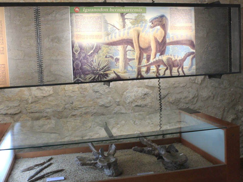 MORELLA - CASTELLÓN . En Morella se han descubierto hasta la fecha más de 5000 restos fósiles compuestos de cráneos, costillas,fémurs o dientes desde la segunda mitad del siglo XIX. Desde 2016 se han ido destapando restos de una criatura que midió mas de 20 metros a juzgar por el tamaño de sus extremidades, la pélviz, varias vértebras y la cola. Según los estudios estos huesos pertenecieron a un saurópodo hace 126 millones de años.