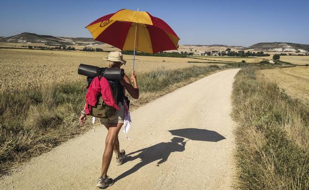 Un millón de pasos hasta Santiago: el camino en sesenta imágenes