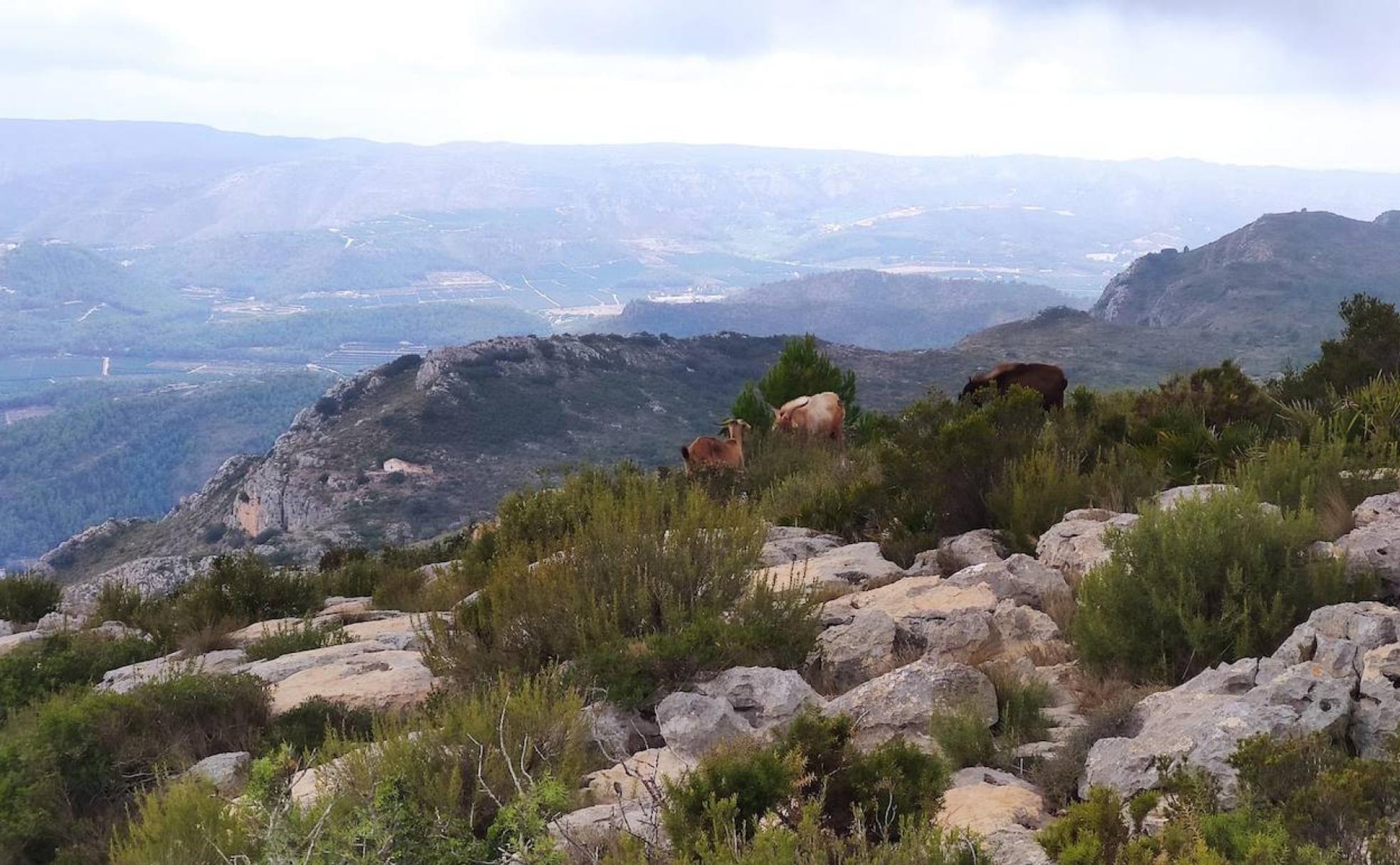 Maravillosas vistas desde uno de los puntos más bellos de la Comunitat. 