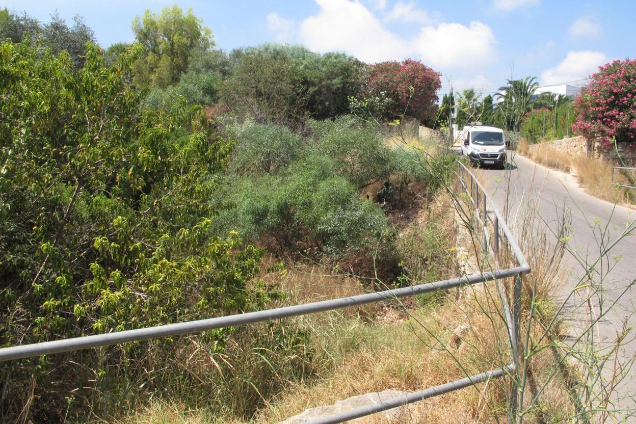 Uno de los numerosos barrancos que hay en Dénia, en la zona del Montgó. Tino Calvo