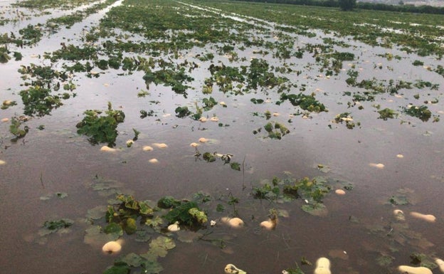 Agua estancada en el cauce viejo del río Segura. 