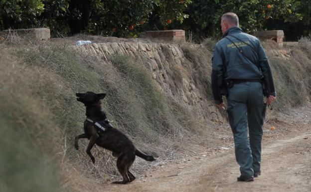 La Guardia Civil reactiva la búsqueda de Marta Calvo en Valencia