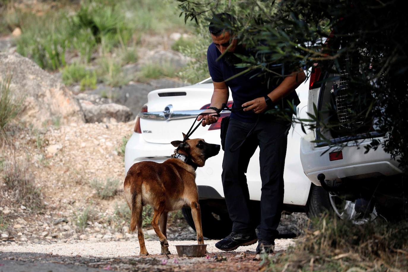 Una treintena de agentes reconocen el terreno delimitado por la geolocalización de uno de los móviles que utilizaba el presunto asesino en serie, entre los municipios de Villanueva de Castellón, Manuel y Llosa de Ranes.