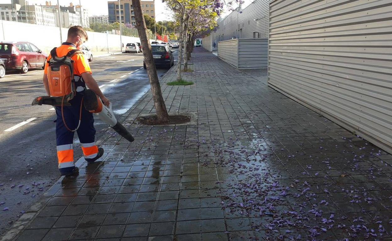 Un trabajador de la limpieza trabajando sobre las aceras en Alicante. 