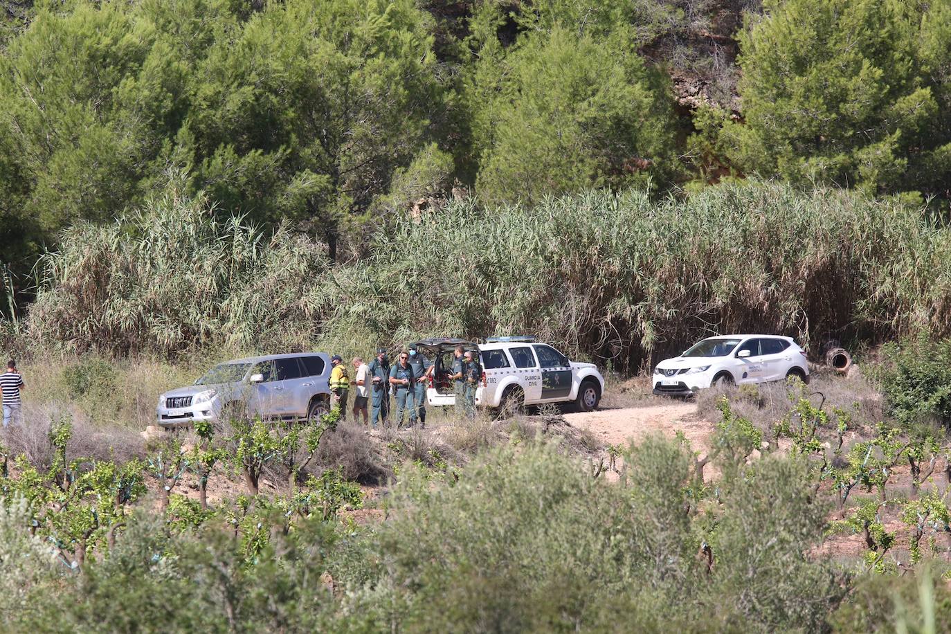 La búsqueda del cuerpo de Marta Calvo se reanuda este jueves con la ayuda de una brigada forestal.