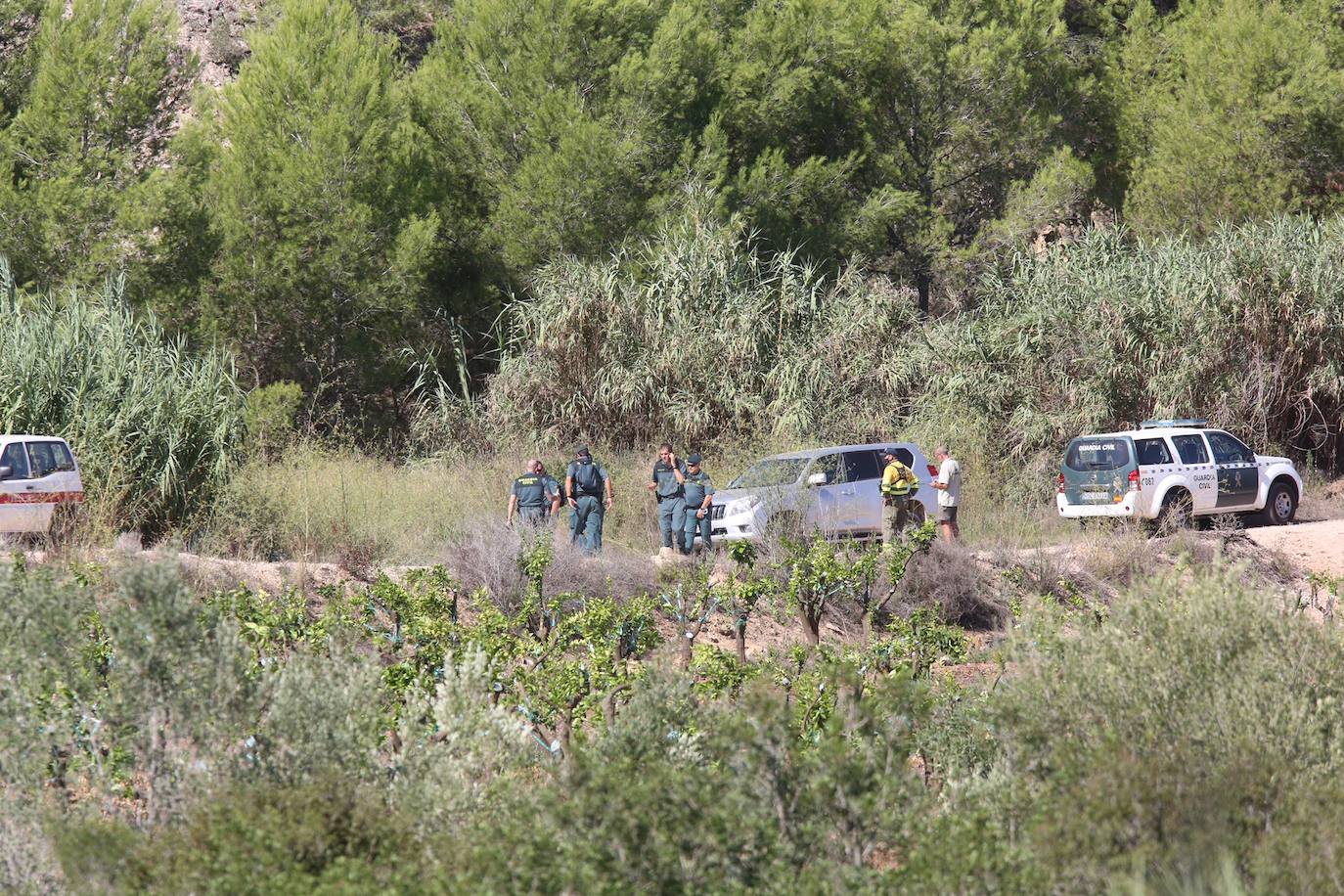 La búsqueda del cuerpo de Marta Calvo se reanuda este jueves con la ayuda de una brigada forestal.