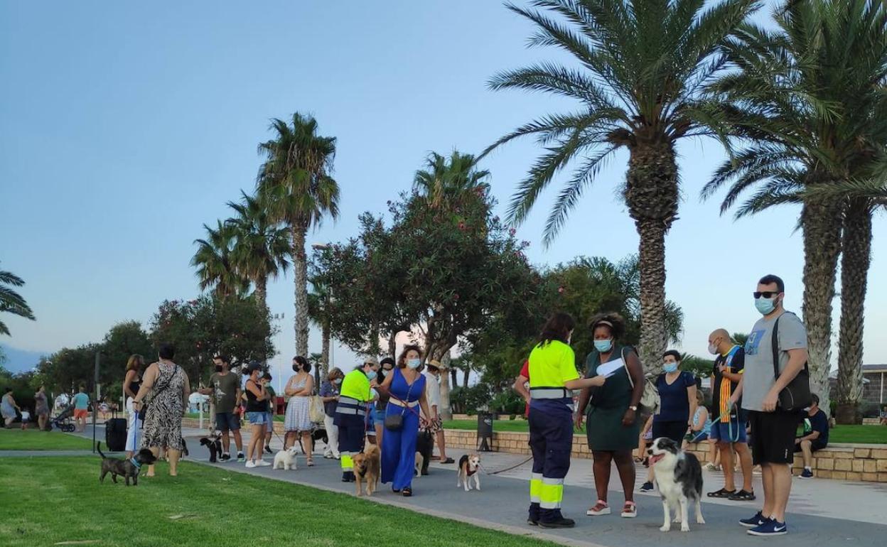 Paseo de Canet con perros. 