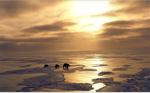 ¿Cómo puedo cuidar el medio ambiente? | Hábitos para cuidar el medio ambiente