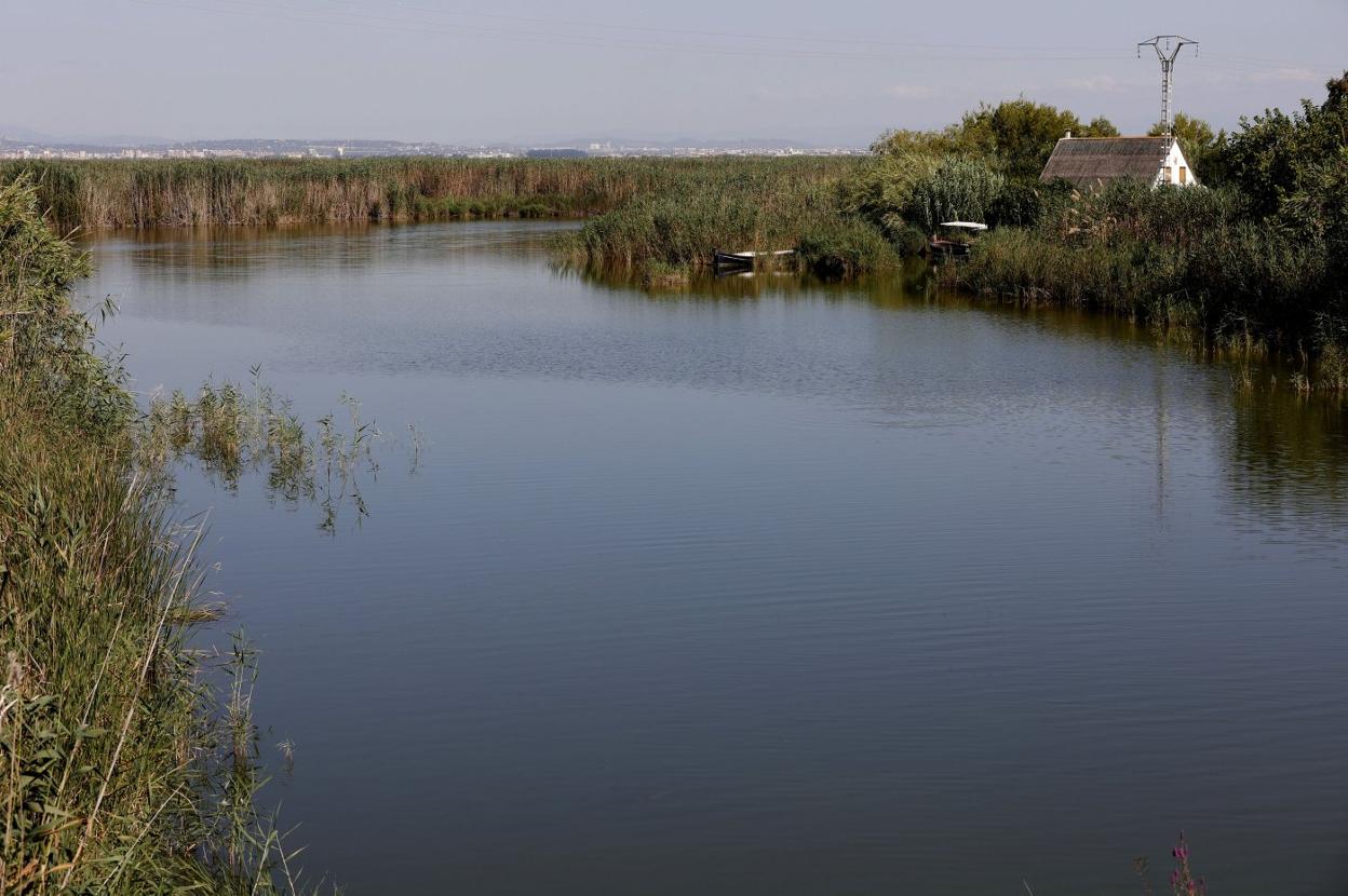 Uno de los canales de la Albufera, en una imagen reciente. jesús signes