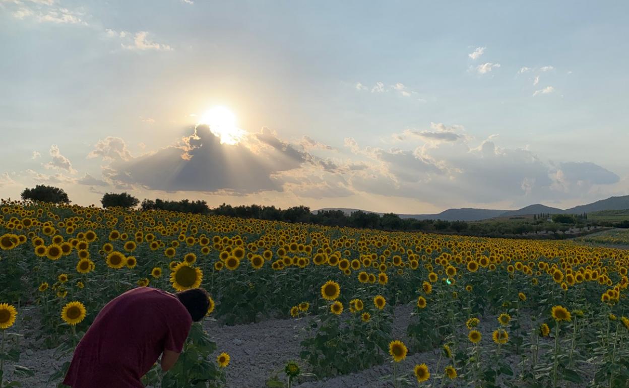 Turisme La Costera quiere dar a conocer a potenciales visitantes rincones desconocidos de los 18 municipios. 