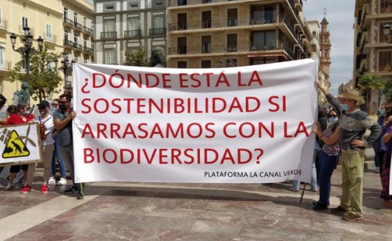 Los colectivos valencianos en contra de las grandes plantas de renovables vuelven a las movilizaciones. 