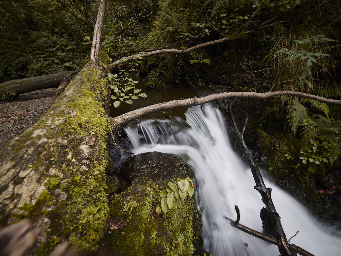 Si hay un momento especial para visitar el Valle del Baztán es el otoño. Enclavado en el norte de Navarra, el Valle de Baztán forma parte del Pirineo atlántico y alberga en su territorio una riqueza natural extraordinaria, patente en cada uno de sus rincones, destacando sobre todo su fauna y flora. Es apreciado por su idílico paisaje, envuelto en una halo de misterio. Rincones como el Molino del Infierno inspiran leyendas y obras literarias como la trilogía de novelas -auténticos bestsellers- de la autora Dolores Redondo. 